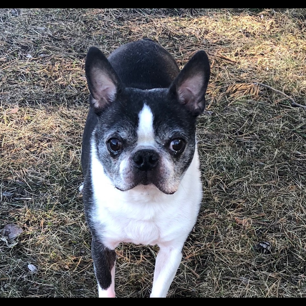 Meet your Posher, Kim